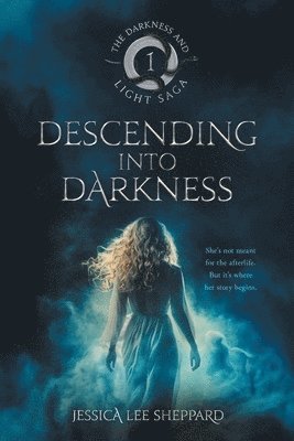 bokomslag Descending Into Darkness