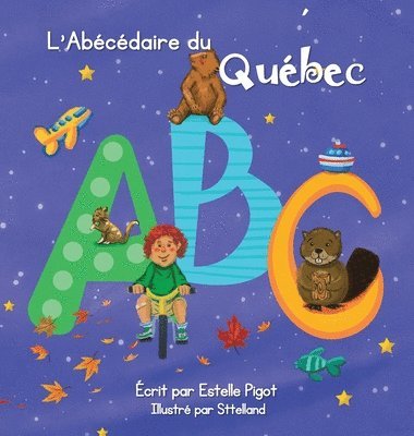 bokomslag L'Abcdaire du Qubec