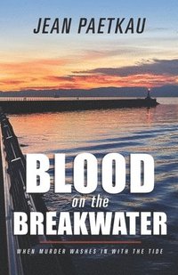 bokomslag Blood on the Breakwater