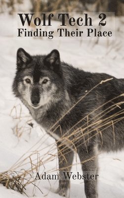 bokomslag Wolf Tech 2