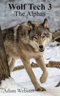 bokomslag Wolf Tech 3