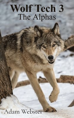 bokomslag Wolf Tech 3