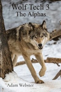 bokomslag Wolf Tech 3