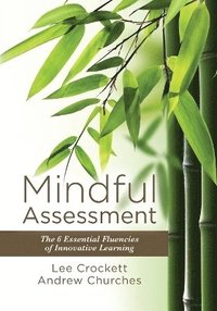 bokomslag Mindful Assessment