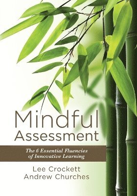 Mindful Assessment 1