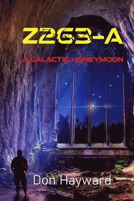 Hayward - Z263-A, Häftad
