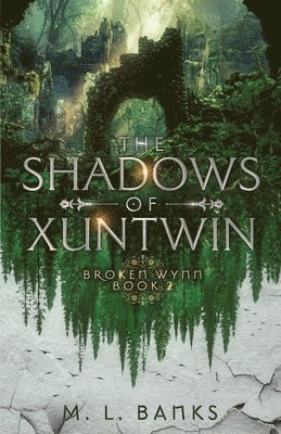 M L Banks, M. L. Banks, M.L. Banks - Shadows of Xuntwin, Häftad