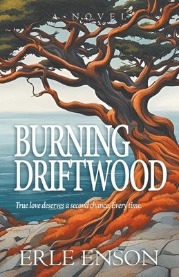 Burning Driftwood 1