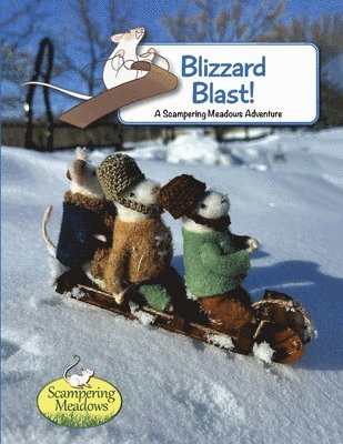 bokomslag Blizzard Blast