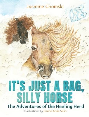 It's Just a Bag, Silly Horse 1