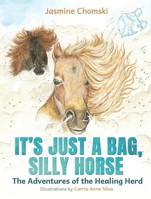 It's Just a Bag, Silly Horse