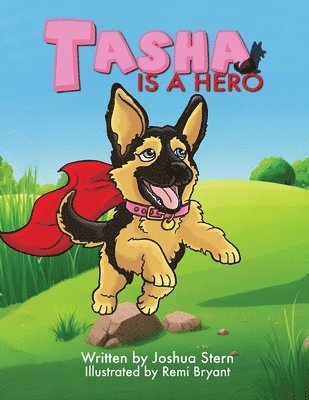 Joshua Stern - Tasha Is A Hero, Häftad