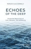 bokomslag Echoes of the Deep