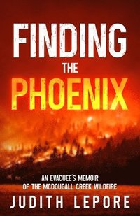 bokomslag Finding the Phoenix