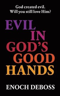 bokomslag Evil in God's Good Hands