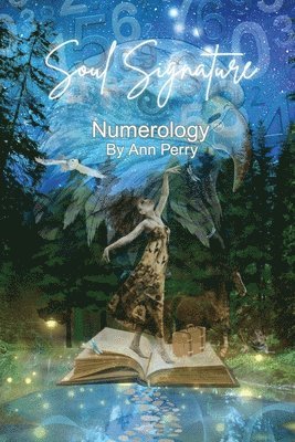 Soul Signature Numerology(TM)