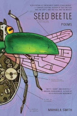 Seed Beetle 1