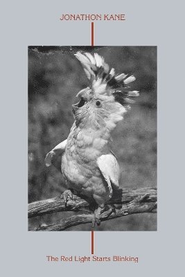 Red Light Starts Blinking