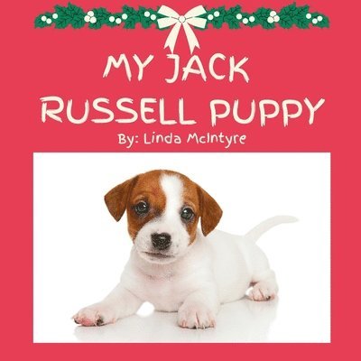 My Jack Russell Puppy 1