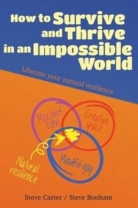 bokomslag How to Survive and Thrive in an Impossible World (second edition)