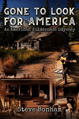 Gone To Look For America