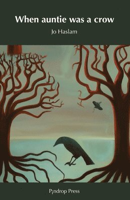 Jo Haslam - When auntie was a crow, Häftad