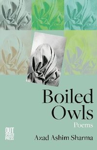 bokomslag Boiled Owls