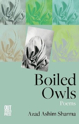 Boiled Owls 1