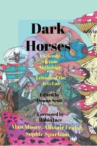 bokomslag Dark Horses