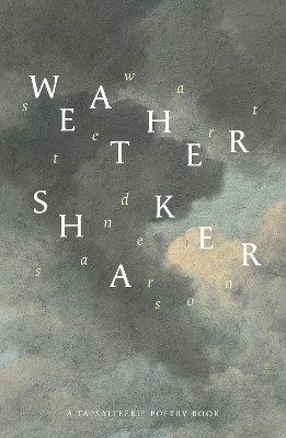 Stewart Sanderson - Weathershaker, Häftad