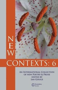 bokomslag New Contexts: 6