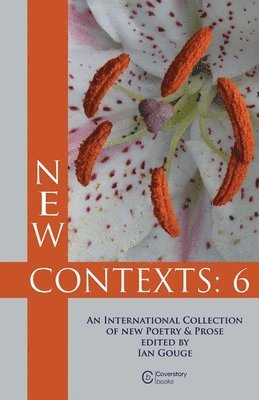 bokomslag New Contexts: 6