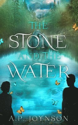 The Stone And The Water: Finale of the heartwarming Young Adult MM Romantasy 1