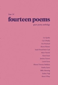 bokomslag fourteen poems issue 14: a queer poetry anthology