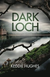 bokomslag Dark Loch