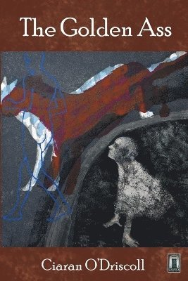 Ciaran O'Driscoll - Golden Ass, Häftad