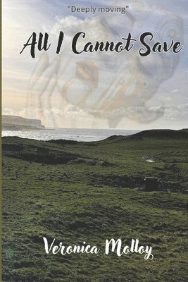 All I Cannot Save