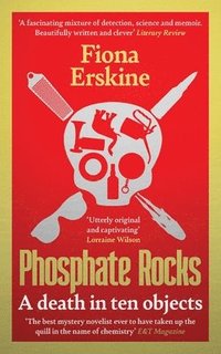 bokomslag Phosphate Rocks