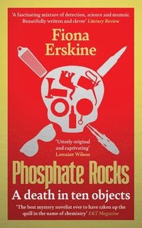 bokomslag Phosphate Rocks