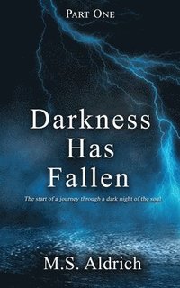 bokomslag Darkness Has Fallen