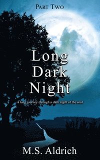 bokomslag Long Dark Night