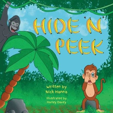 bokomslag Hide 'n' Peek