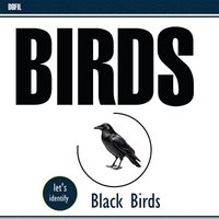 bokomslag Black birds