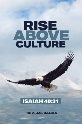 bokomslag Rise Above Culture