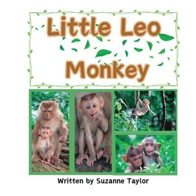 Little Leo Monkey 1