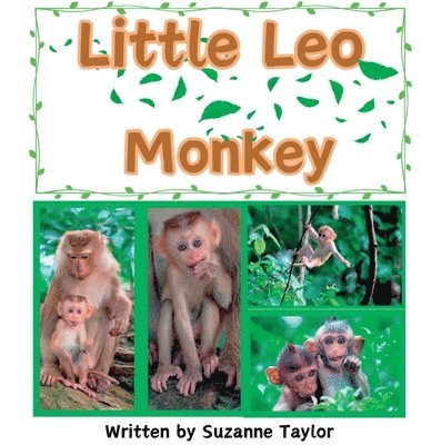 Suzanne Taylor - Little Leo Monkey, Inbunden
