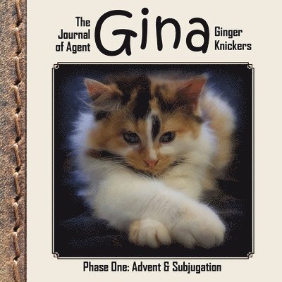 The Journal of Agent Gina Ginger Knickers, Phase One 1