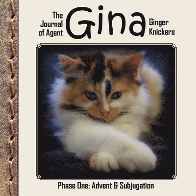 Linda Deane - Journal of Agent Gina Ginger Knickers, Phase One, Häftad