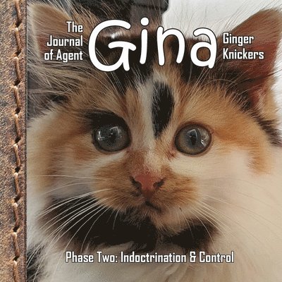 Linda Deane - Journal of Agent Gina Ginger Knickers, Phase Two, Häftad