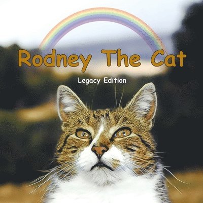 Rodney The Cat 1